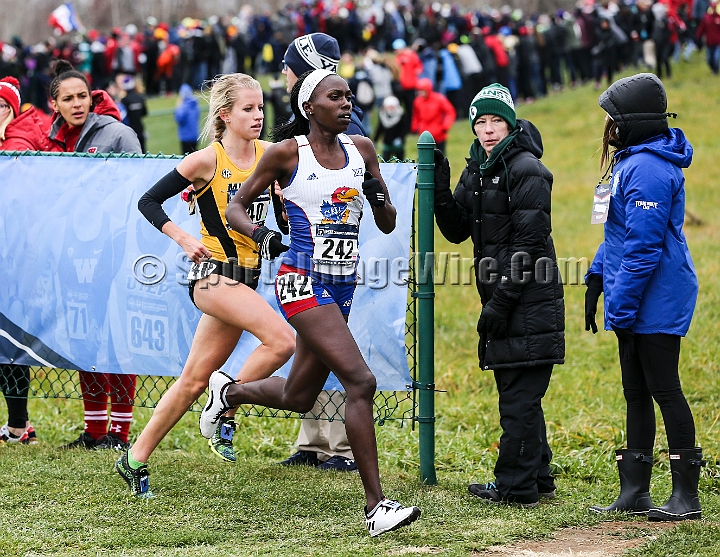 2016NCAAXC-099.JPG - Nov 18, 2016; Terre Haute, IN, USA;  at the LaVern Gibson Championship Cross Country Course for the 2016 NCAA cross country championships.